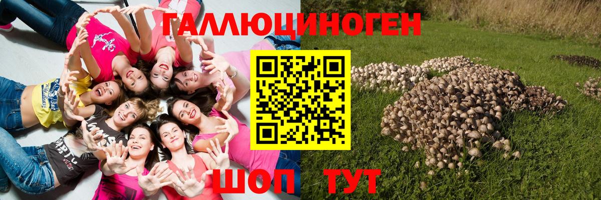 Кондопога  Псилоцибиновые грибы мицелий  Вход с VPN 